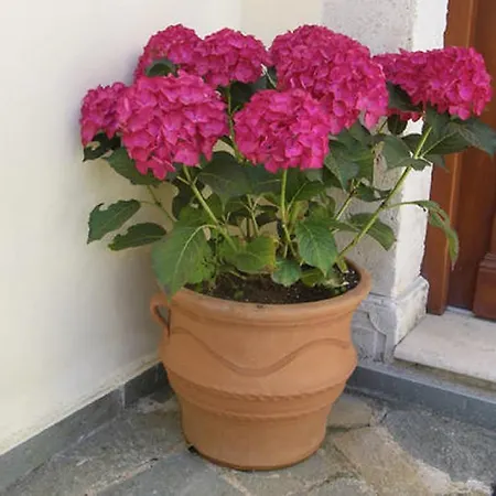 Villa Beautiful Stone Mansion In Apostoli Pediados